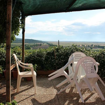 Agriturismo Podere Montenero 알베레세 외부 사진