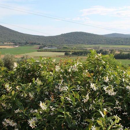Agriturismo Podere Montenero 알베레세 외부 사진